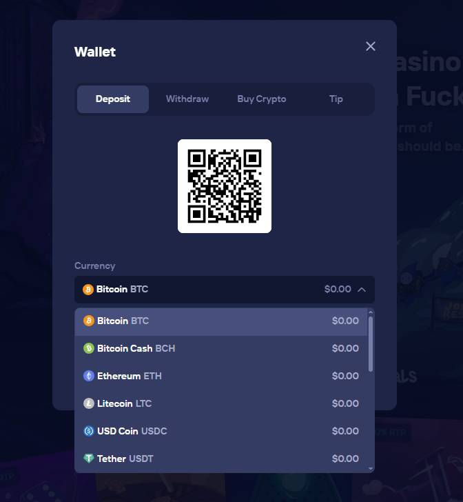 Duel crypto wallet coins